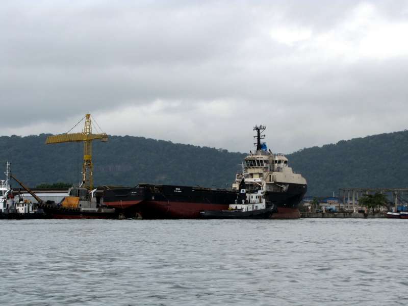 SKUA