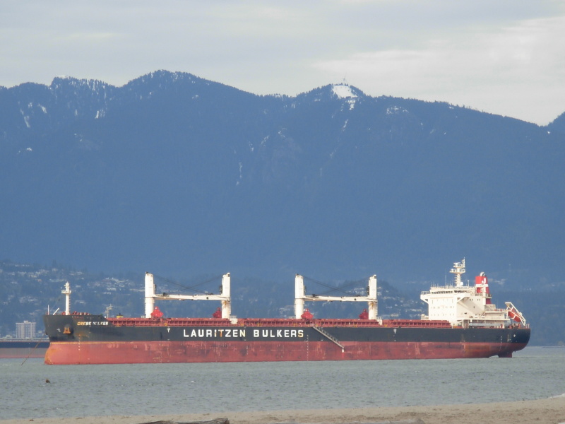 GREBE BULKER