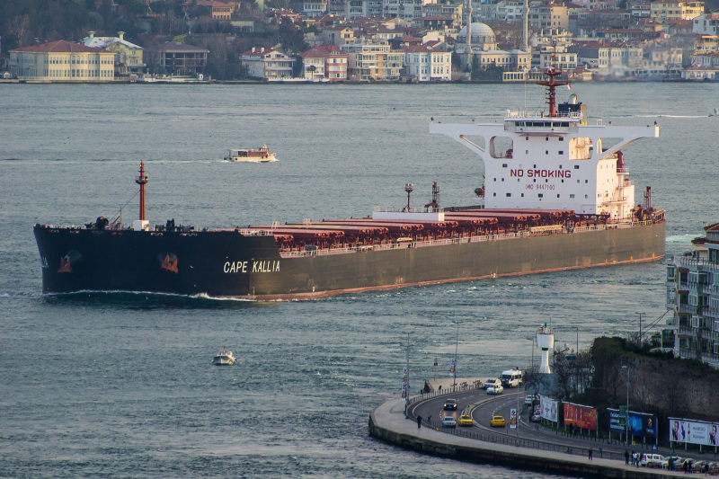 SPRINGBANK - Dry bulk / Newcastlemax