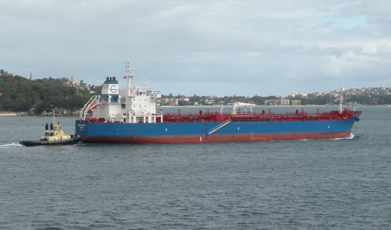 CHAMPION CORNELIA