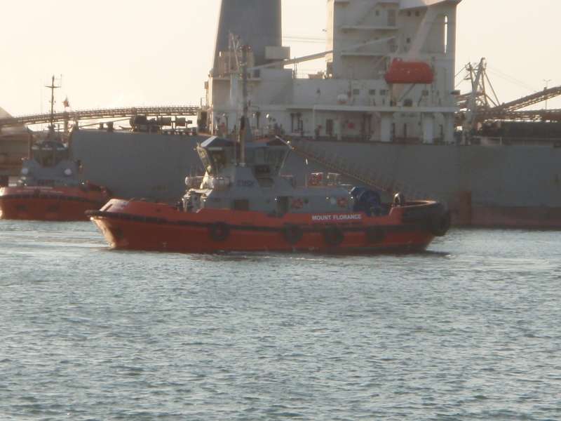 MV MOUNT FLORANCE