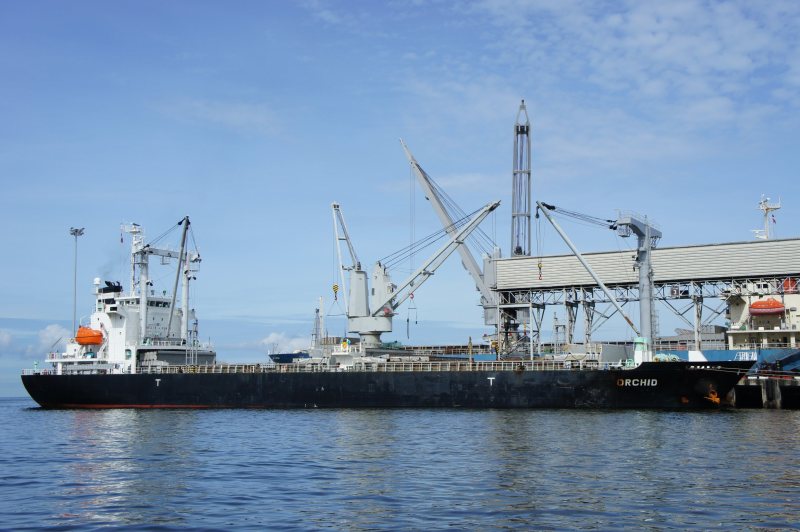 M/V ORCHID