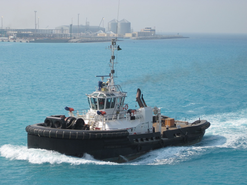 DOLPHIN I