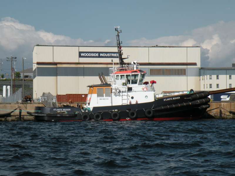 ATLANTIC BEAVER