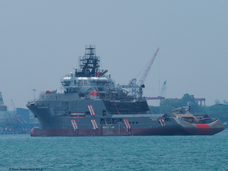 PACIFIC DISPATCH