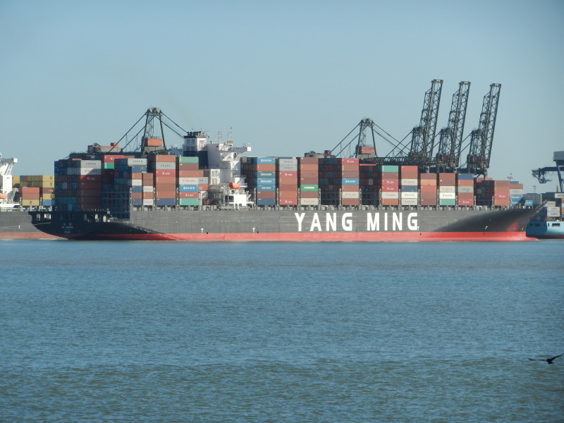 YM UNICORN