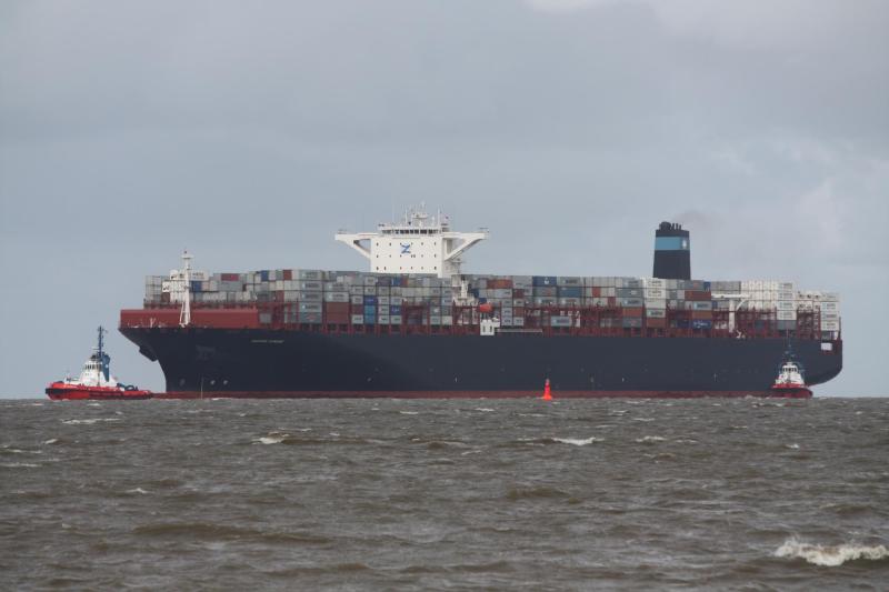 MSC NATASHA XIII