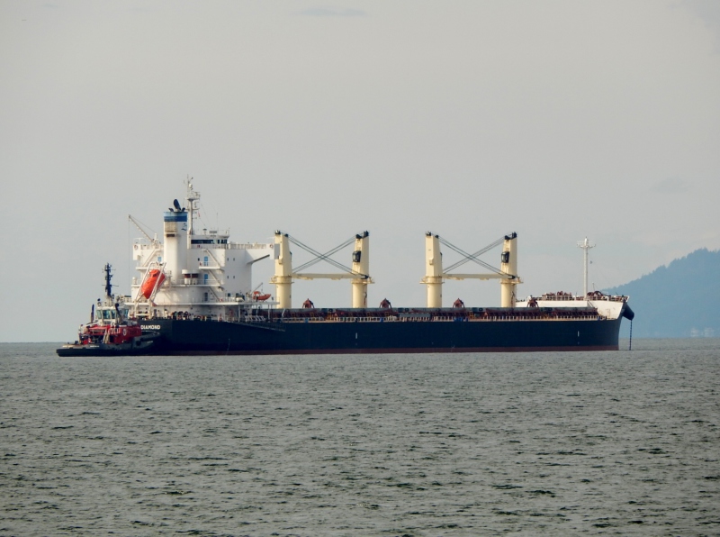 OCEAN DIAMOND
