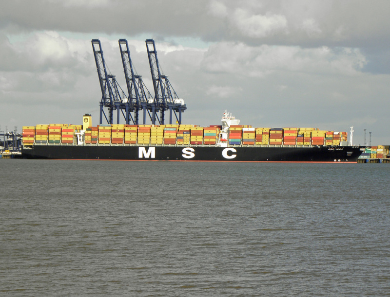 MSC VEGA