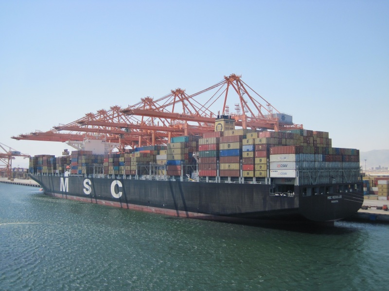 MSC REGULUS