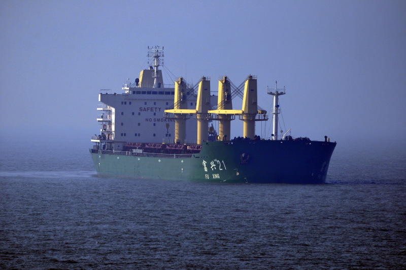 FU XING 21