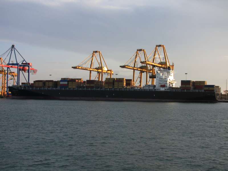 MSC JASPER VIII