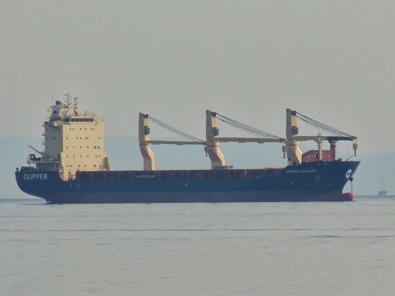CONDOR VALPARAISO