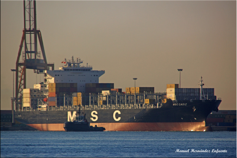 MSC CADIZ