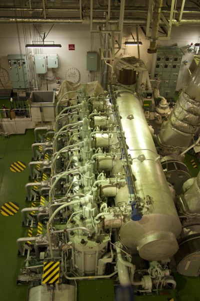 IPSEA COLOSSUS