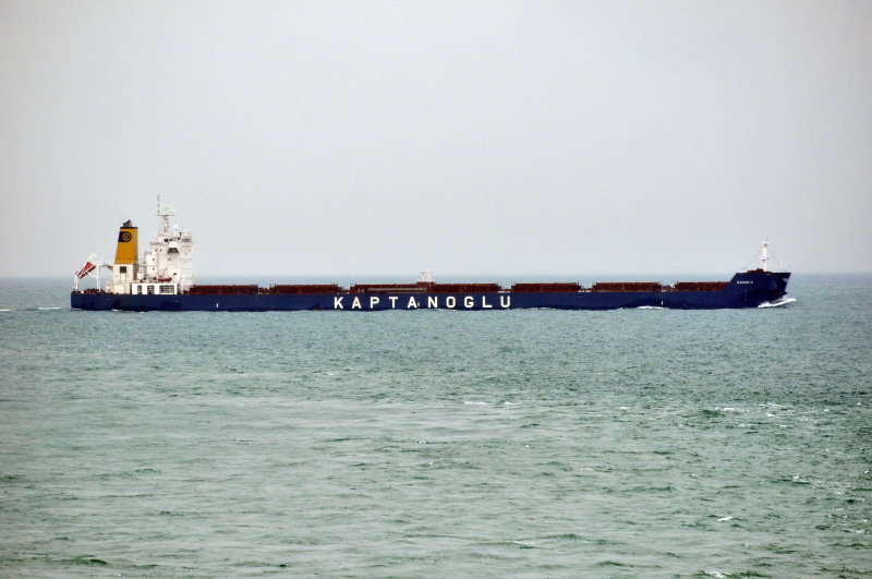 GLOBE DANAE - Dry bulk / Kamsarmax