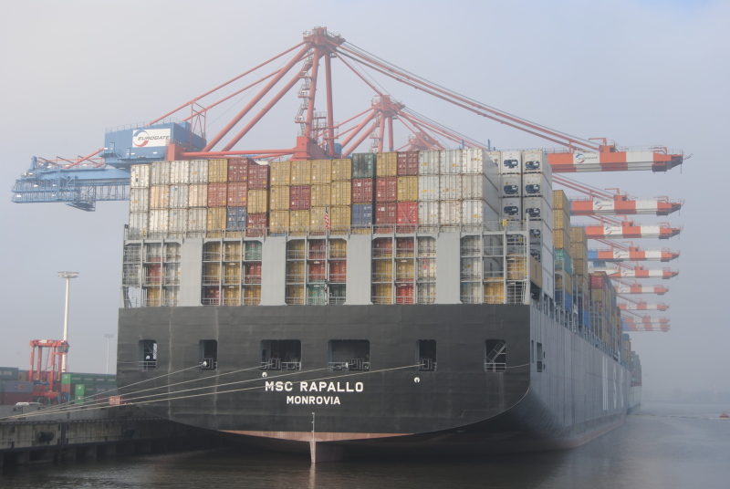 Image of MSC RAPALLO