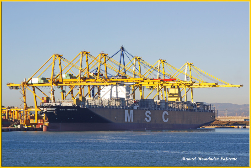 MSC TRIESTE