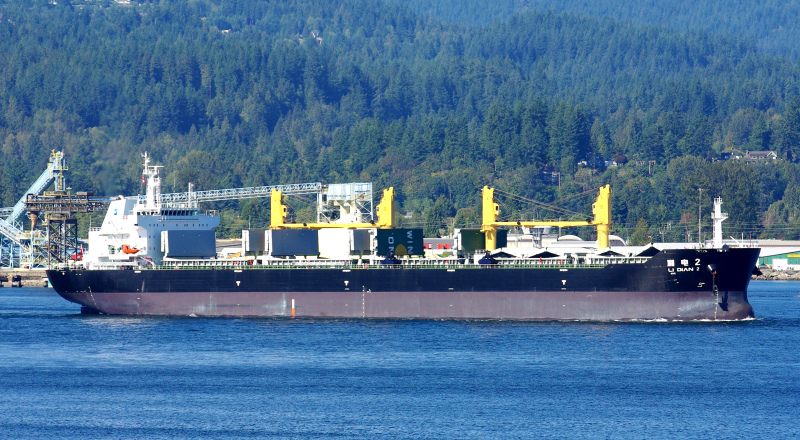 LI DIAN 2 - Dry bulk / Supramax
