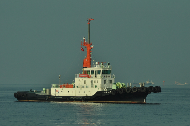 TRITON