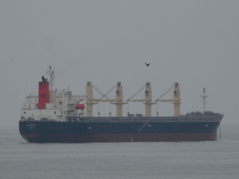 C.S.PRINCESS