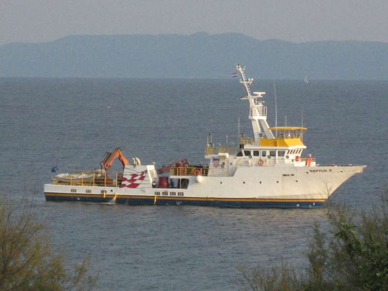 NEPTUN II