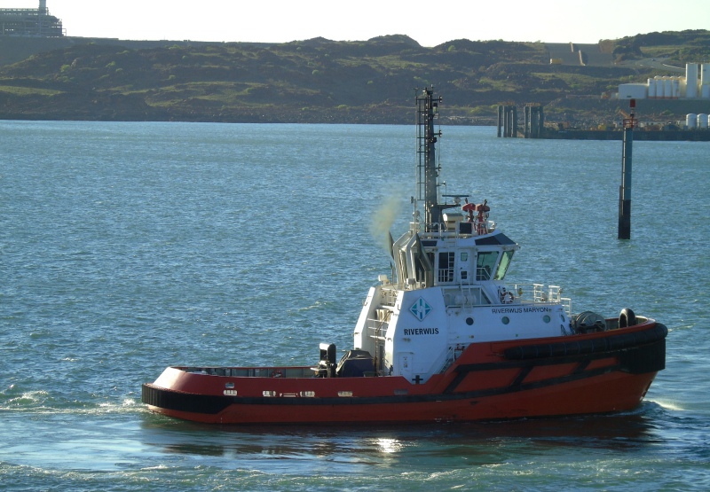 SVITZER MARYON