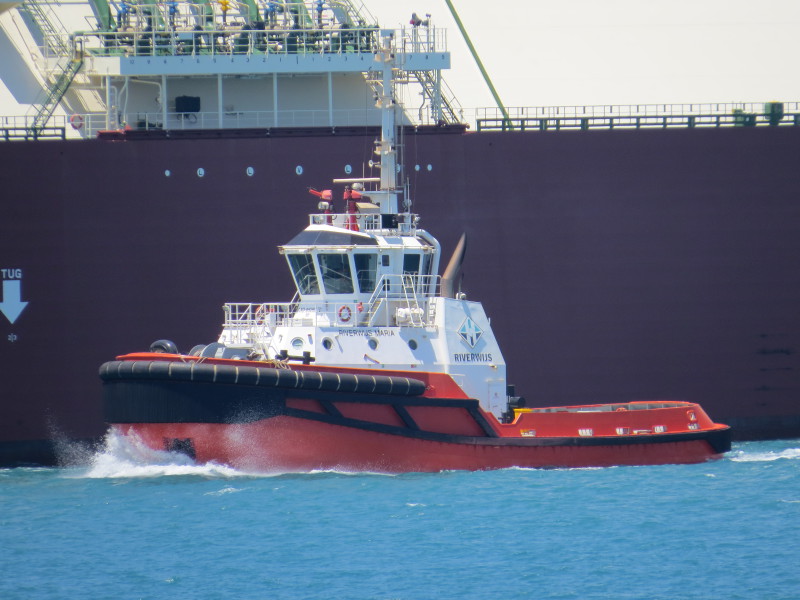 SVITZER MARIA
