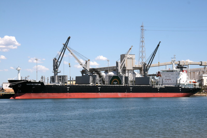 DEWI SHINTA MANGGALA