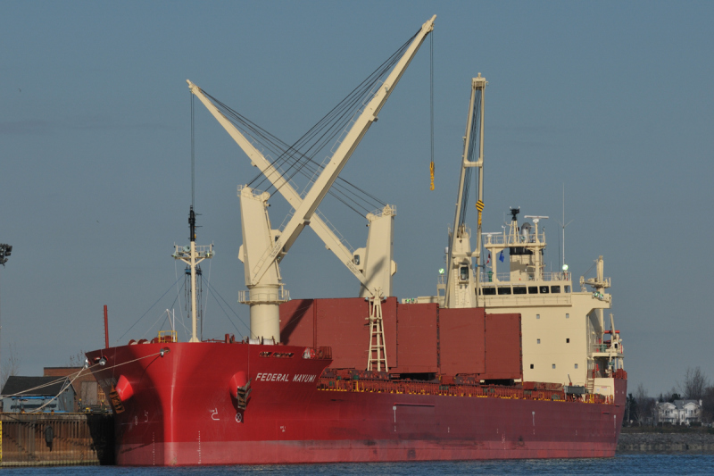 FEDERAL MAYUMI