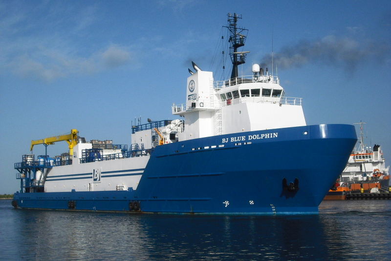 BLUE DOLPHIN