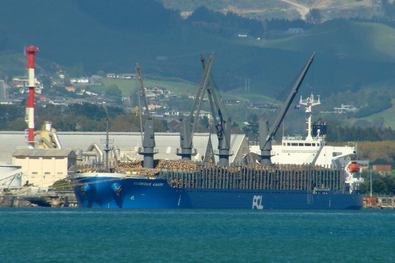 DEVBULK KAYA