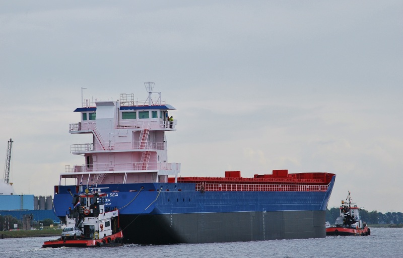 FRISIAN SEA