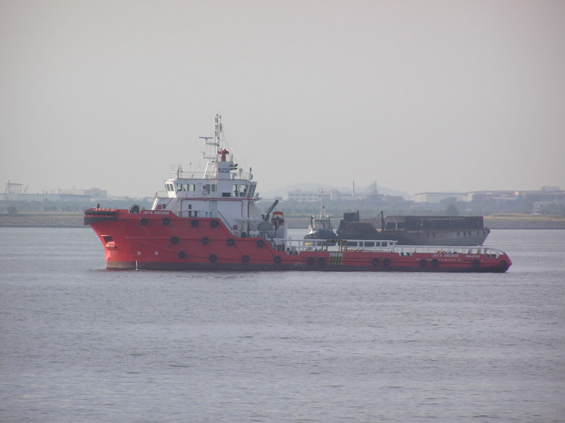 LOGINDO BRAVEHEART
