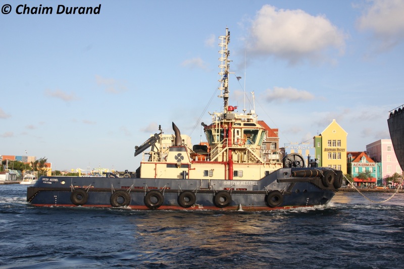 Image of SVITZER MURJAN