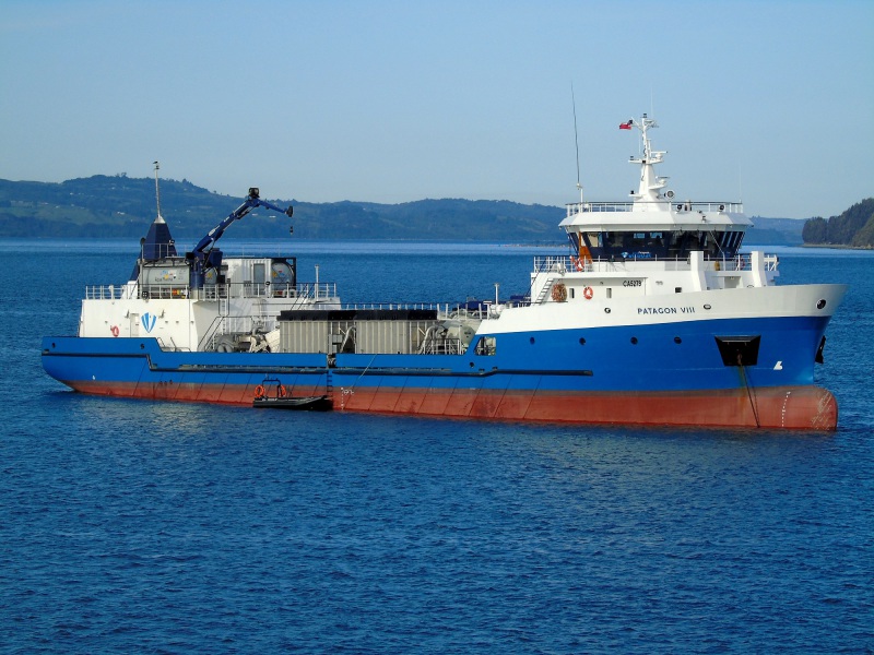 PATAGON VIII