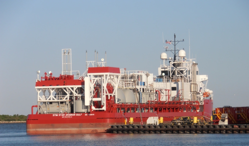 STIM STAR ARABIAN GU