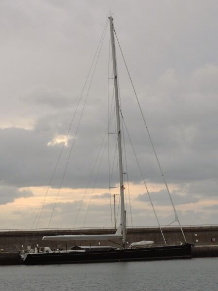 SY CERVO