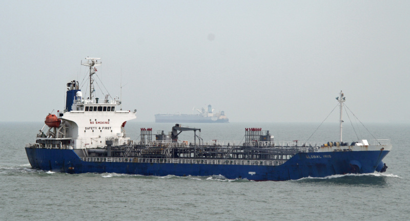 DOLPHIN 09