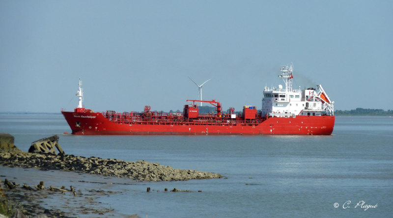 STOLT SANDPIPER