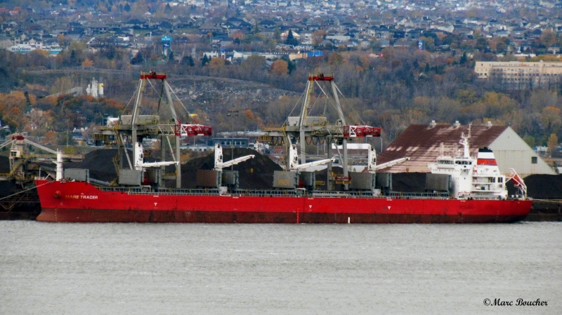 NS QINGDAO