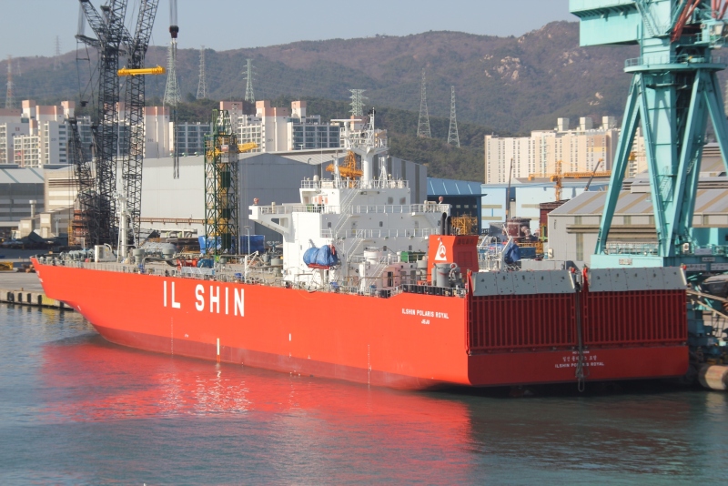 ILSHIN POLARIS ROYAL
