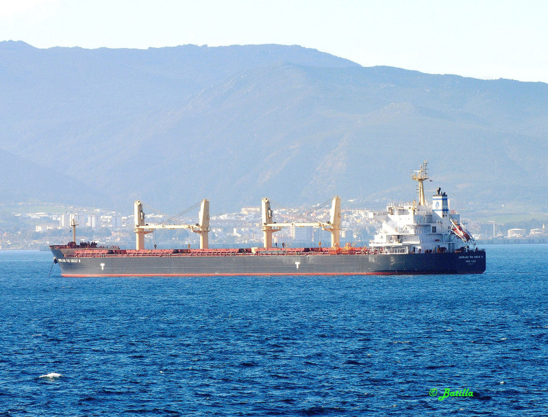 ANGELINA THE GREAT N