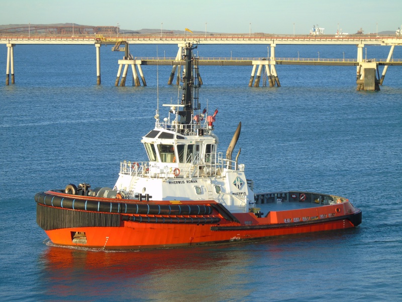 SVITZER ROWAN
