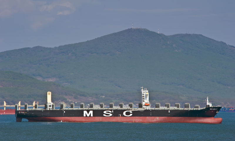 Image of MSC AMALFI