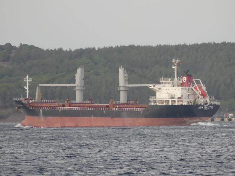 ASH BALTIC