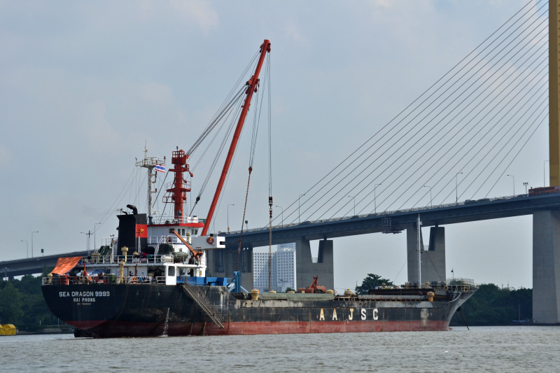 SEA DRAGON 9999