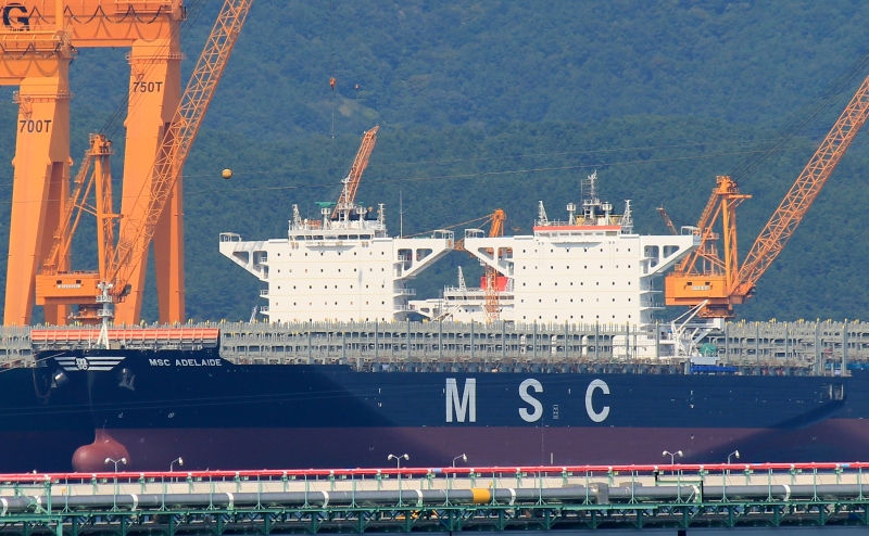 MSC ADELAIDE