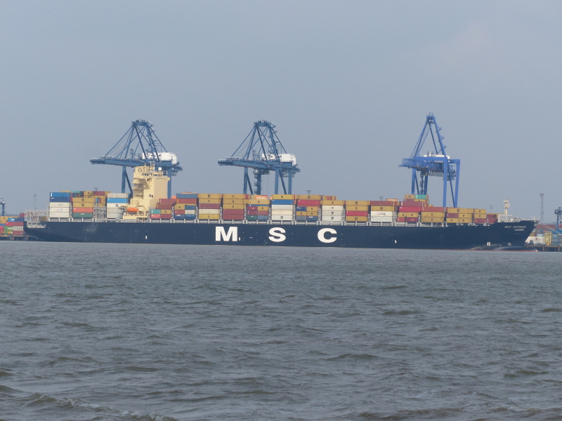 MSC ANTIGUA