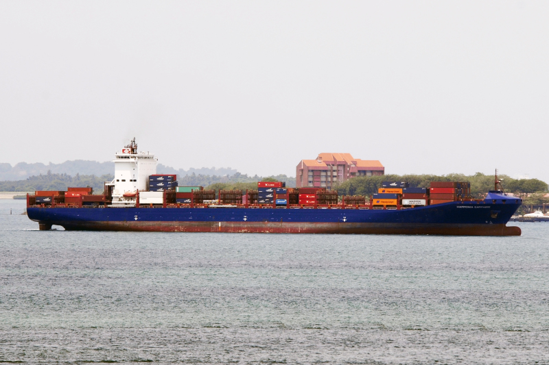 MSC JERSEY
